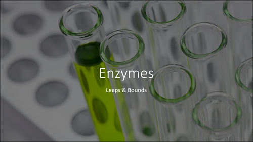 introduction to enzyme research paper