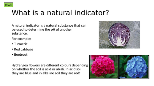 pre-gcse-chemistry-natural-indicators-teaching-resources