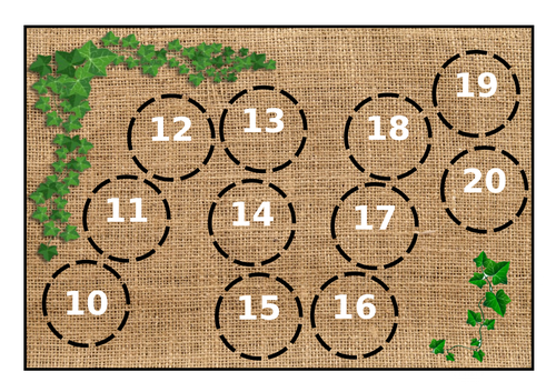Missing numbers 10-20 on natural backing
