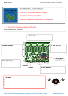 Plant Nutrition Part 1 (IGCSE/GCSE) worksheet | Teaching Resources