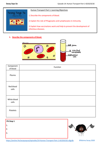 Human Transport Part 1 (IGCSE/GCSE) worksheet | Teaching Resources