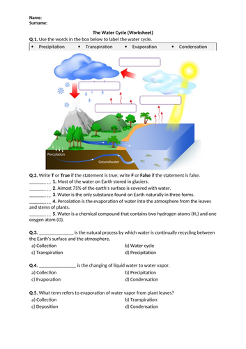 The Water Cycle - Worksheet | Distance Learning