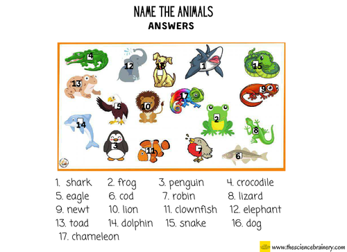 Name the Animals worksheet | KS1 | Animals including humans | Distance  learning | Teaching Resources