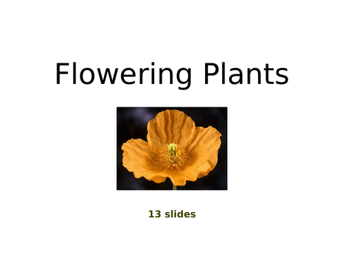 Flowering Plants - PowerPoint