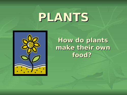 How do plants make their own food? - PowerPoint