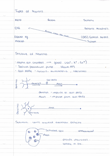 pdf, 787.39 KB