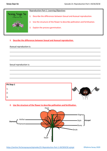 Reproduction Part 1 (IGCSE/GCSE) worksheet | Teaching Resources