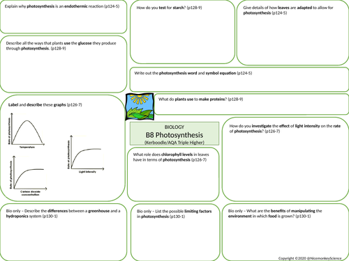 B8 Photosynthesis Mat | Teaching Resources