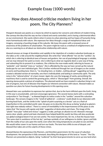 the city planners essay questions