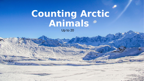 Counting polar animals (teen numbers)
