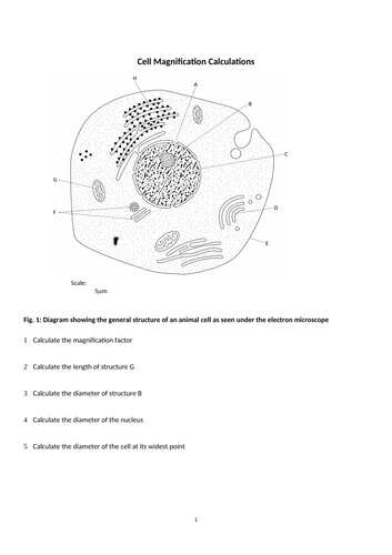 NEW (2016) AQA AS-Level Biology – Methods of Studying Cells | Teaching ...