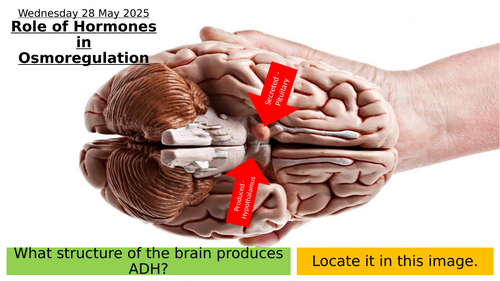 16.7 Role of Hormones in Osmoregulation