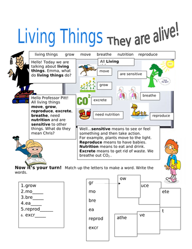 Living Things! Characteristics of Living Things