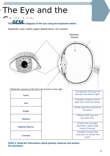 docx, 244.55 KB