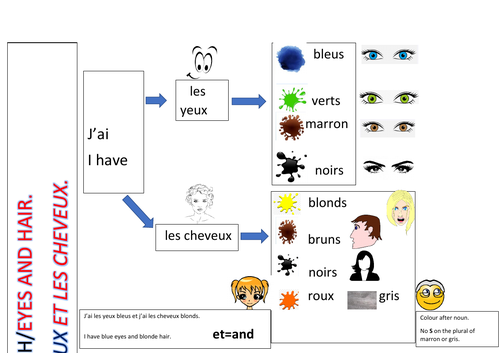 French Eyes And Hair Descriptions Core Language Mat Teaching Resources