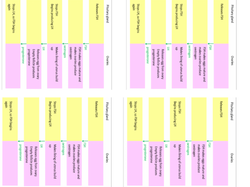 AQA GCSE Biology (9-1) B11.5 Human reproduction FULL LESSON