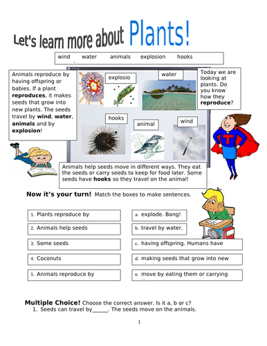 Living Things! Plant Reproduction