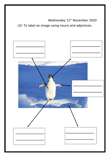 Animals Non Chronological Report Planning KS1 - T4W | Teaching Resources