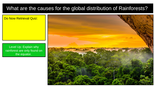 Rainforest Location