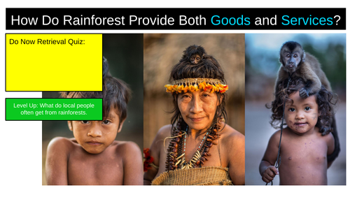 Rainforest Good Services