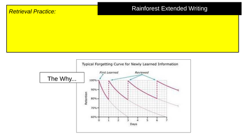 Rainforest Extended Writing