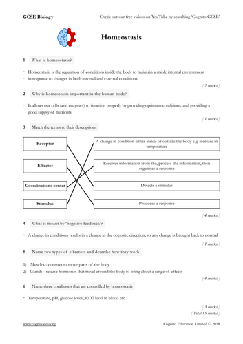 homeostasis-worksheet-graph-answer-key
