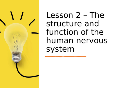 AQA GCSE Biology (9-1) B10.2 The structure and function of the human nervous system +RP FULL LESSONS