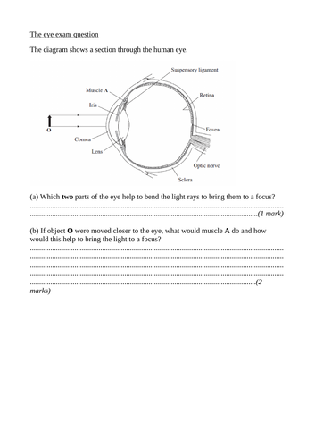 AQA GCSE Biology (9-1) B10.5 The eye FULL LESSON