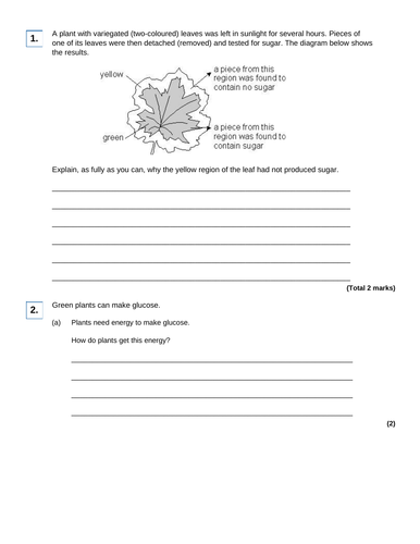 AQA GCSE Biology (9-1) B8.3 How plants use glucose FULL LESSON ...