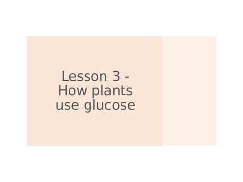 AQA GCSE Biology (9-1) B8.3 How plants use glucose FULL LESSON ...