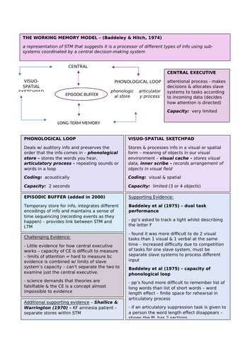 THE WORKING MEMORY MODEL – (Baddeley & Hitch, 1974)