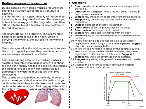 Response to exercise worksheet (Higher) (SPEC 4, AQA)