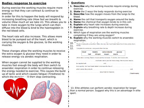 Response to exercise worksheet (Foundation) (SPEC 4, AQA)