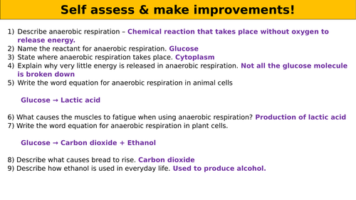 Anaerobic respiration worksheet (Foundation) (SPEC 4, AQA)