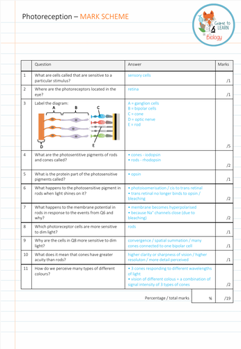 pdf, 350.02 KB