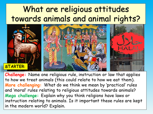 Religion and Animal Rights | Teaching Resources