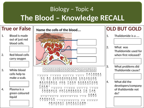 B4.2 The blood vessels