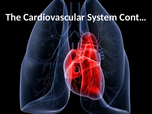 A-Level PE - The Cardiovascular System (Lesson 6 - The Vascular System)