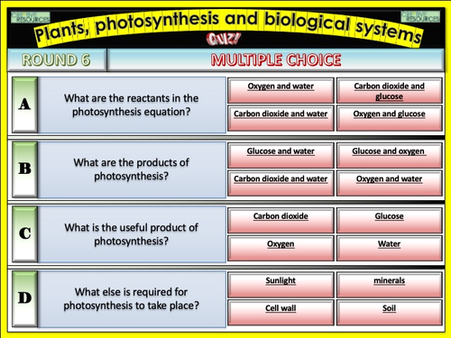 higher order thinking questions photosynthesis