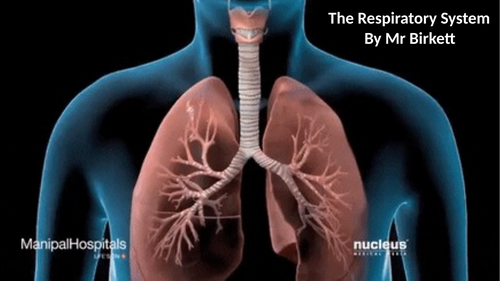 Edexcel GCSE PE Respiratory System Lesson