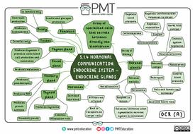 OCR (A) A-level Biology Mindmaps | Teaching Resources