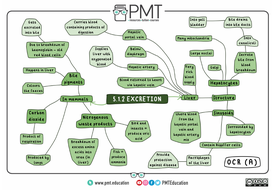 OCR (A) A-level Biology Mindmaps | Teaching Resources