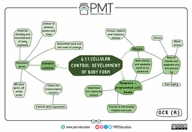 OCR (A) A-level Biology Mindmaps | Teaching Resources
