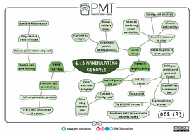 OCR (A) A-level Biology Mindmaps | Teaching Resources