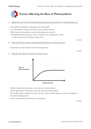 GCSE Bio - Bioenergetics Topic - all worksheets and answers pack