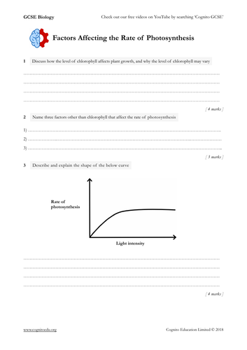 GCSE Bio - Bioenergetics Topic - all worksheets and answers pack