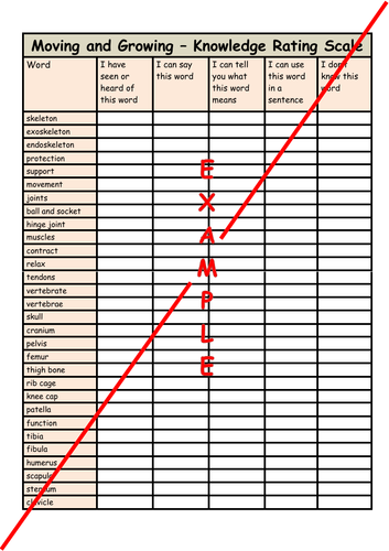 Knowledge Rating Scale - Vocabulary Exposure & Assessment