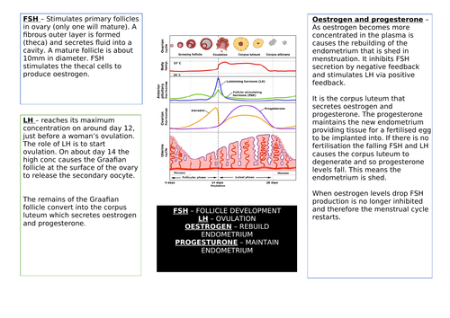 docx, 221.09 KB