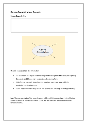 docx, 2.93 MB