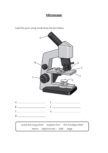 AQA GCSE Biology (9-1) B1.1 The world of the microscope FULL LESSON ...